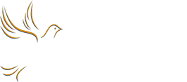 Greater Mission